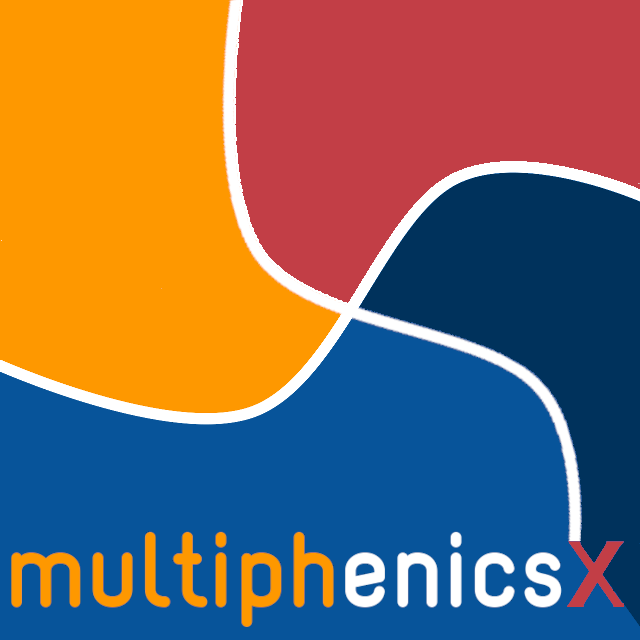 multiphenicsx